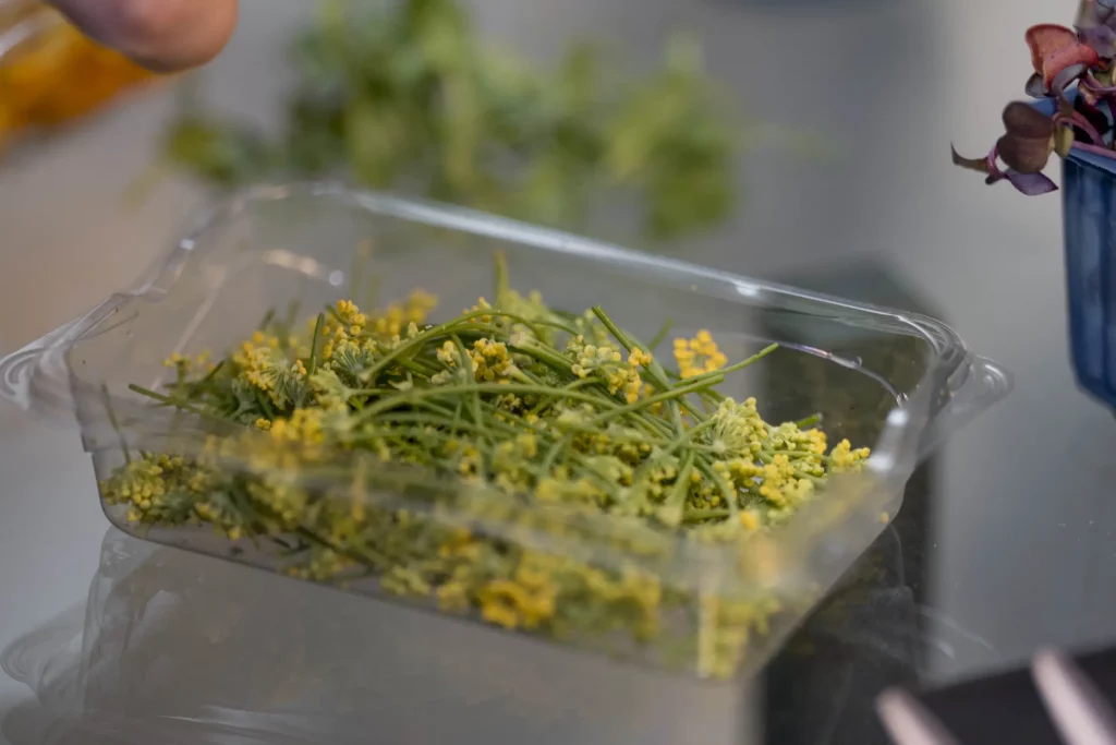 galerie_parville_evenement_ponctuel_6