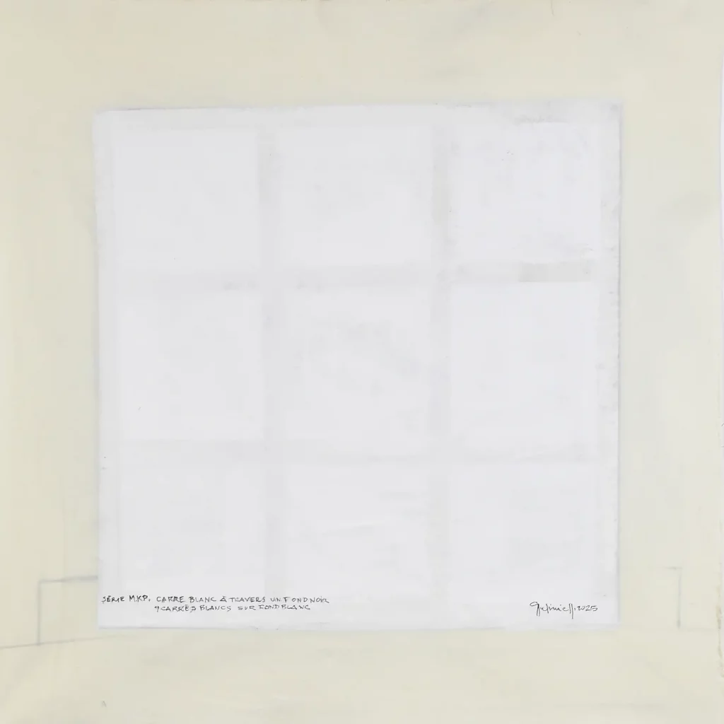 galerie parville gilbert pedinielli accrochage inversé 4