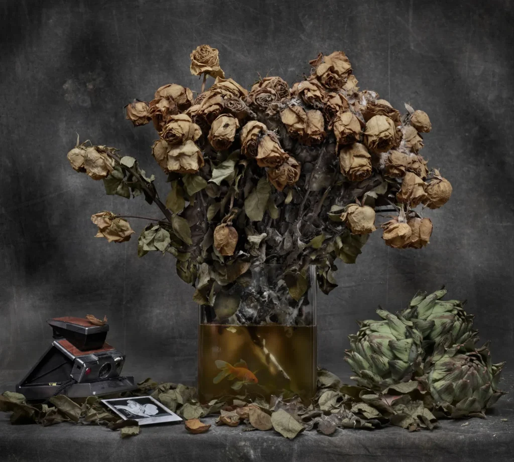 rancinan natures mortes vanites instantane 2020