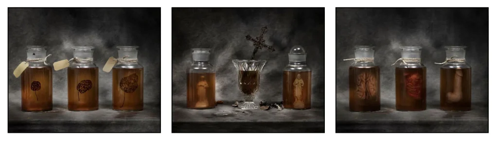 rancinan natures mortes vanites la nature l esprit l homme 2020