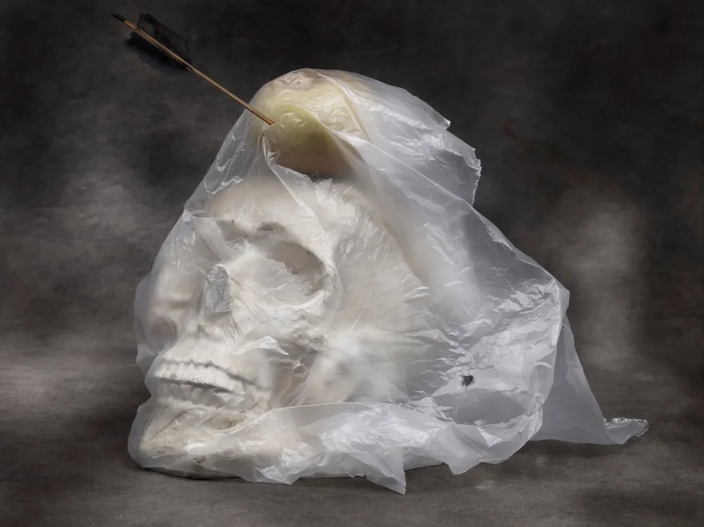 rancinan natures mortes vanites life is risky 2020