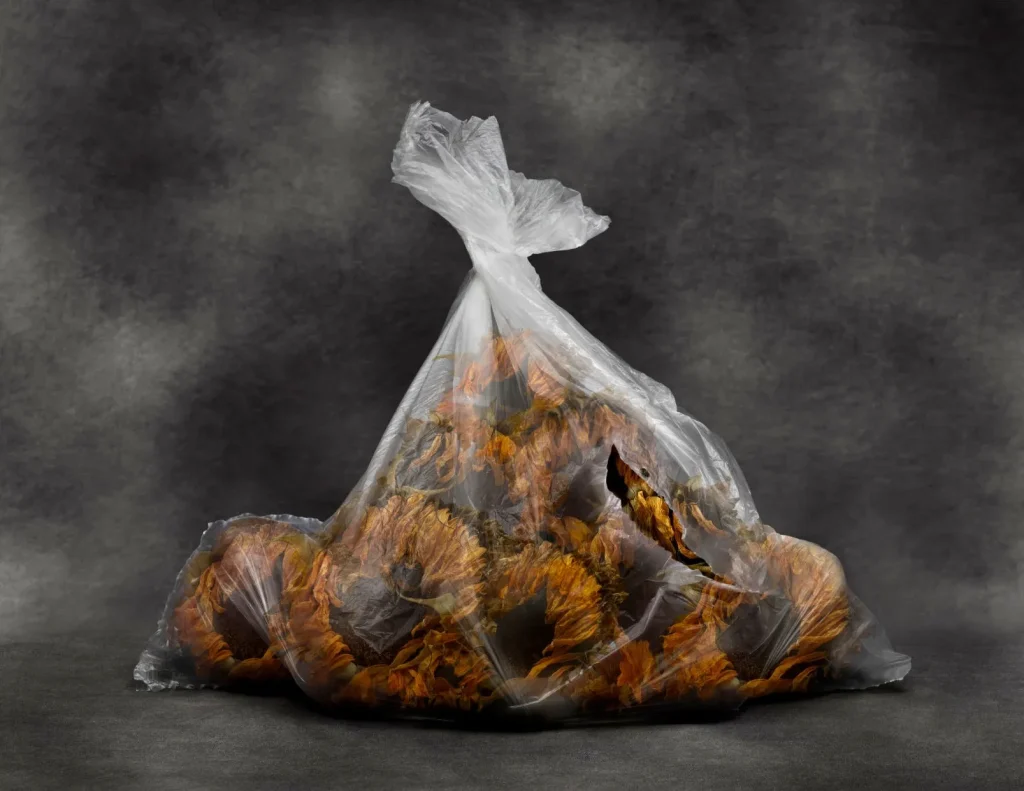 rancinan natures mortes vanites sunflowers in a plastic bag 5 2026